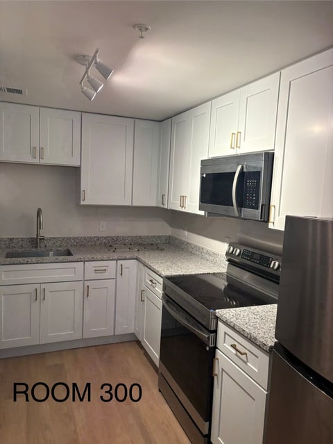 Modern kitchen with white cabinets, stainless steel appliances, granite countertops, and wooden flooring labeled Room 300